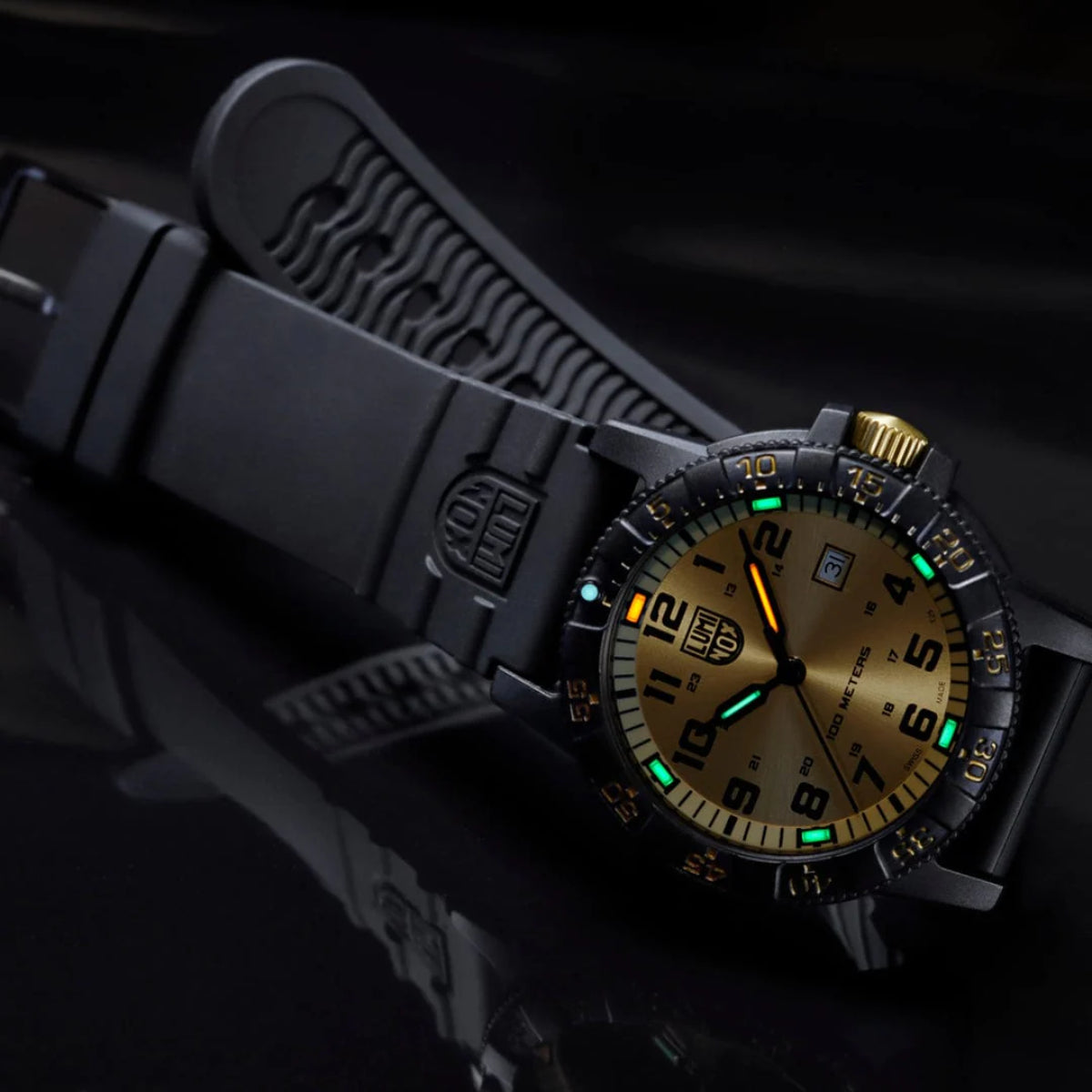 Luminox Leatherback Sea Turtle Giant Series XS.0325.GP gold dial front view