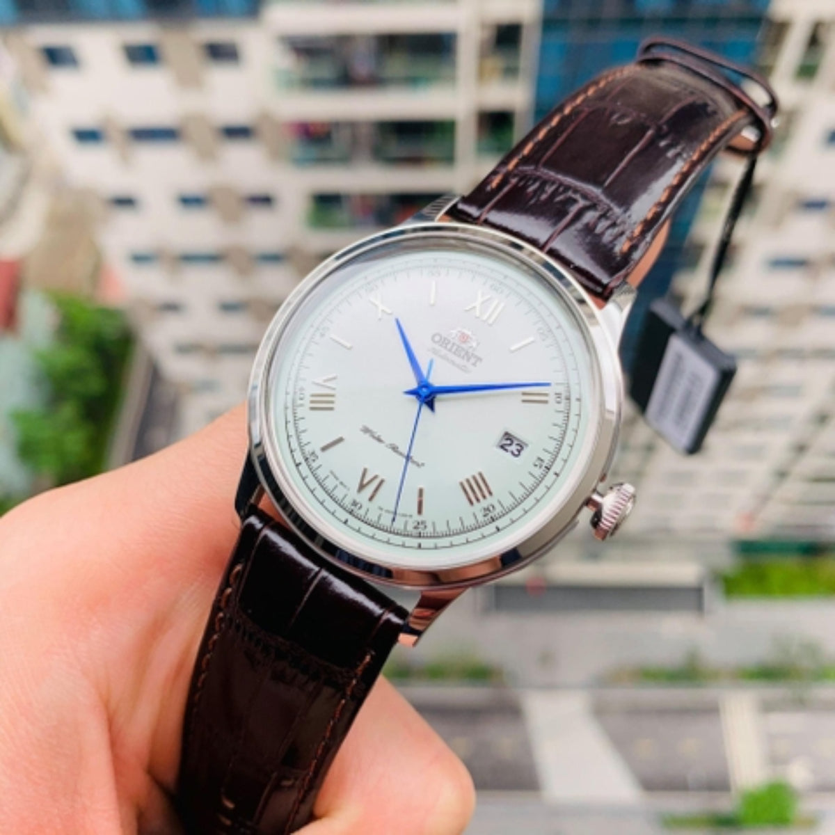 Orient Bambino TAC00009W0 classic dress watch held in hand, showing a white dial and dark brown leather strap
