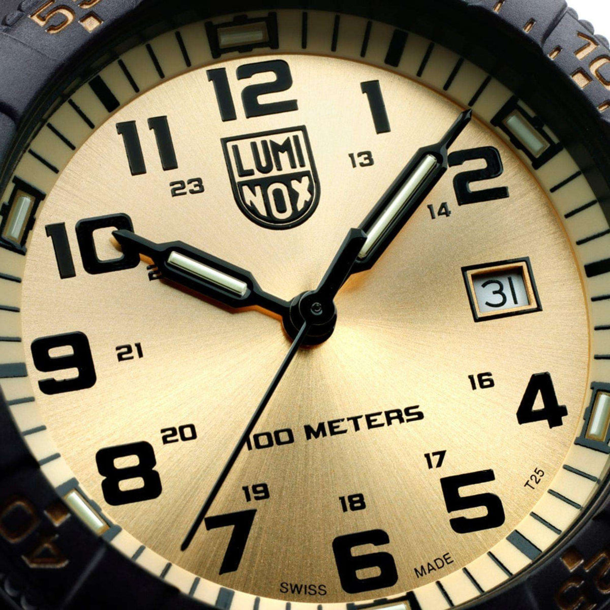 Luminox Leatherback Sea Turtle Giant Series XS.0325.GP gold dial and hands close up