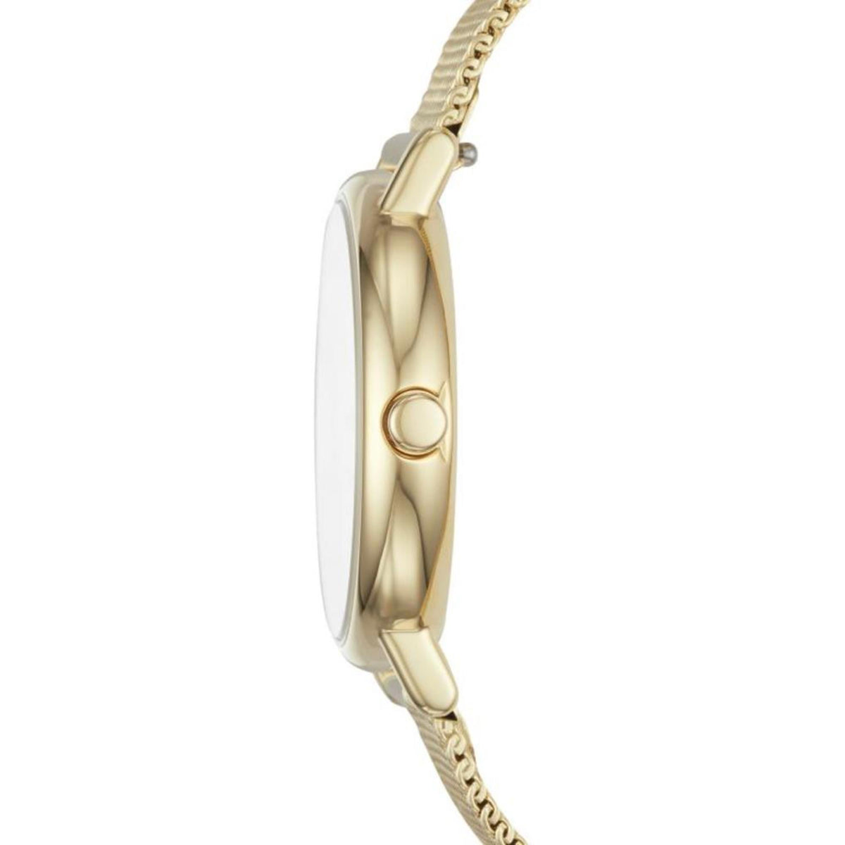 Slim Gold Tone Case Profile and Crown of Skagen Signatur Lille SKW2693 Timepiece