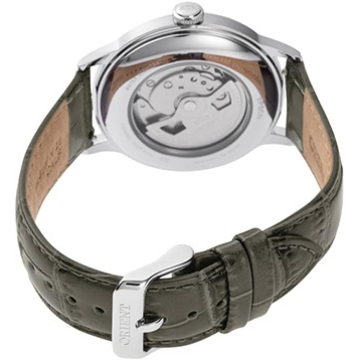 Orient Bambino Classic RA-AC0025N30B watch with a green leather strap and stainless steel case on a white background