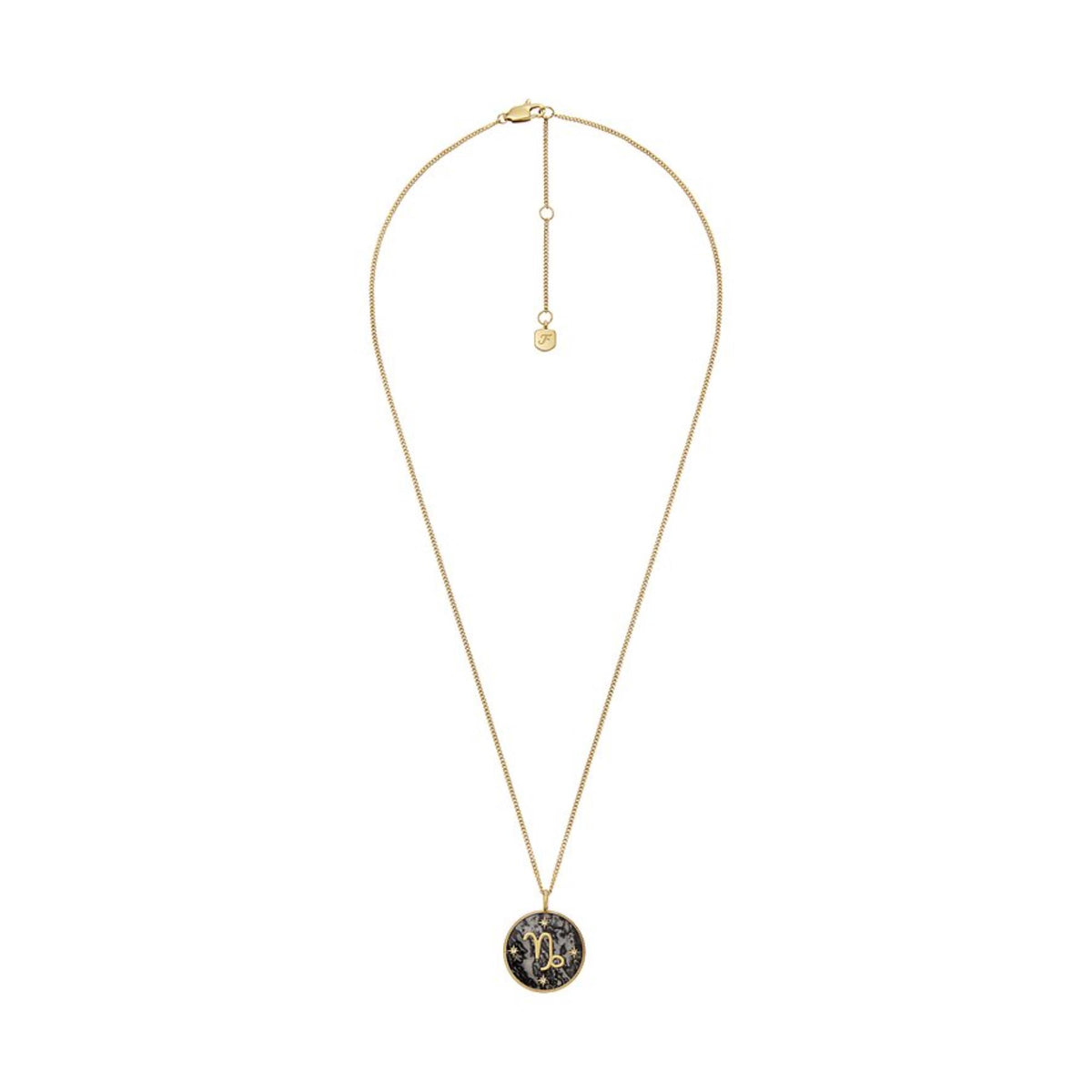 Fossil Written in the Stars Gray Capricorn Necklace JF04847710