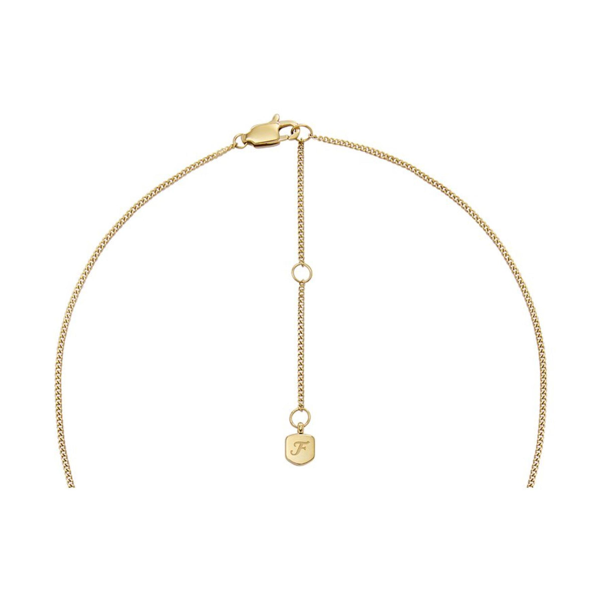 Fossil Written in the Stars Gray Capricorn Necklace JF04847710