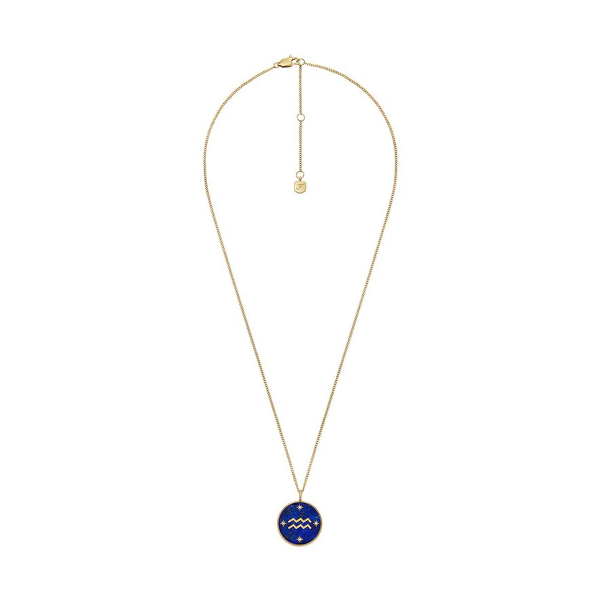 Fossil Aquarius Pendant Ladies Necklace JF04849710