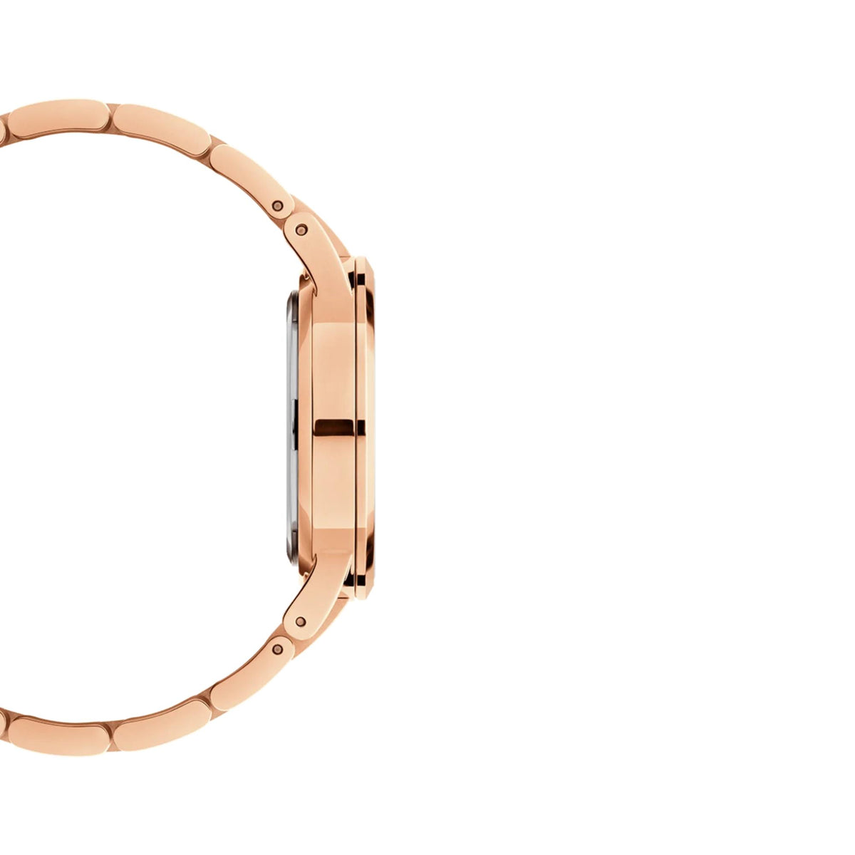Daniel Wellington Iconic Link DW00100209 slim profile side view with crown