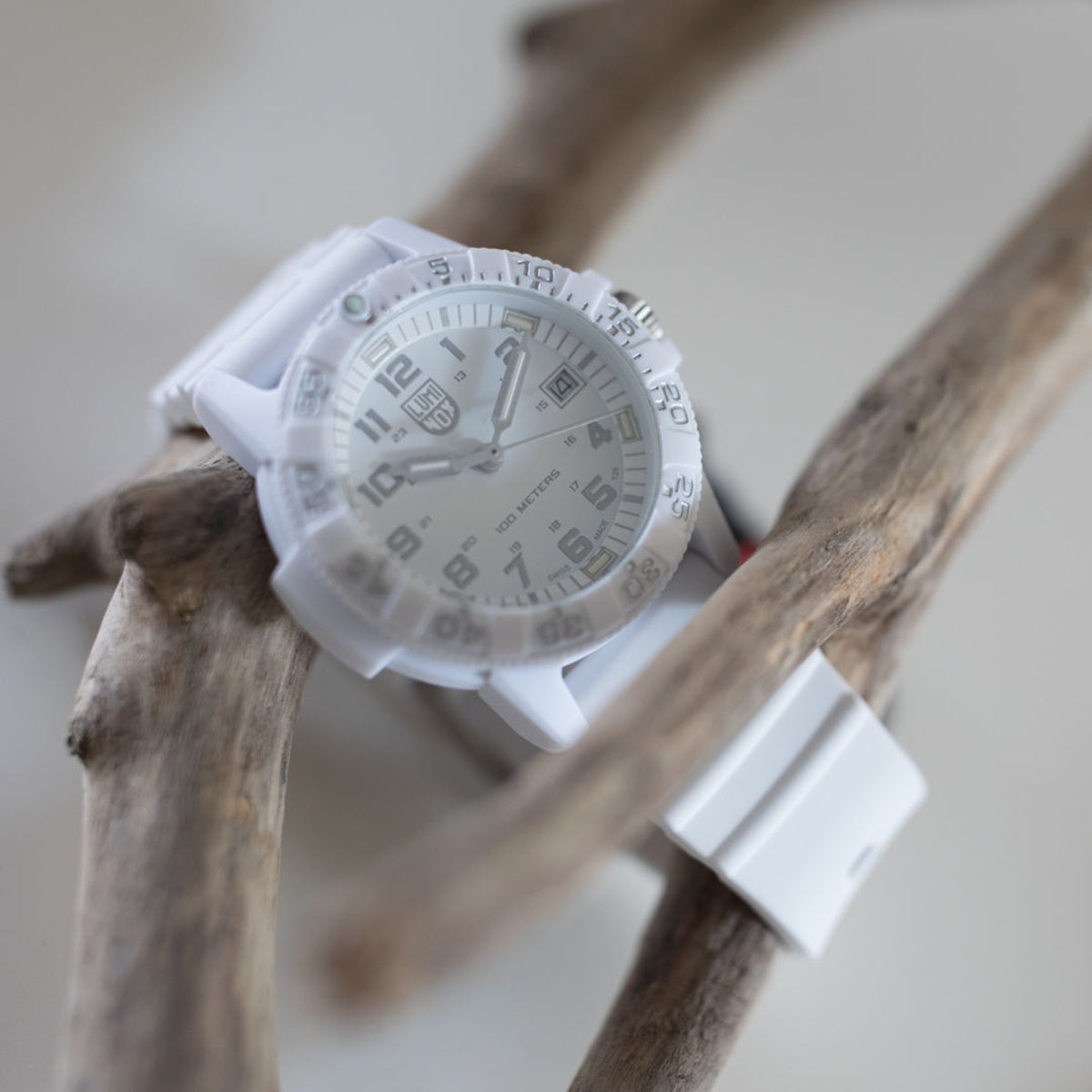 Luminox Leatherback Sea Turtle XS.0307.WO white watch displayed on a branch