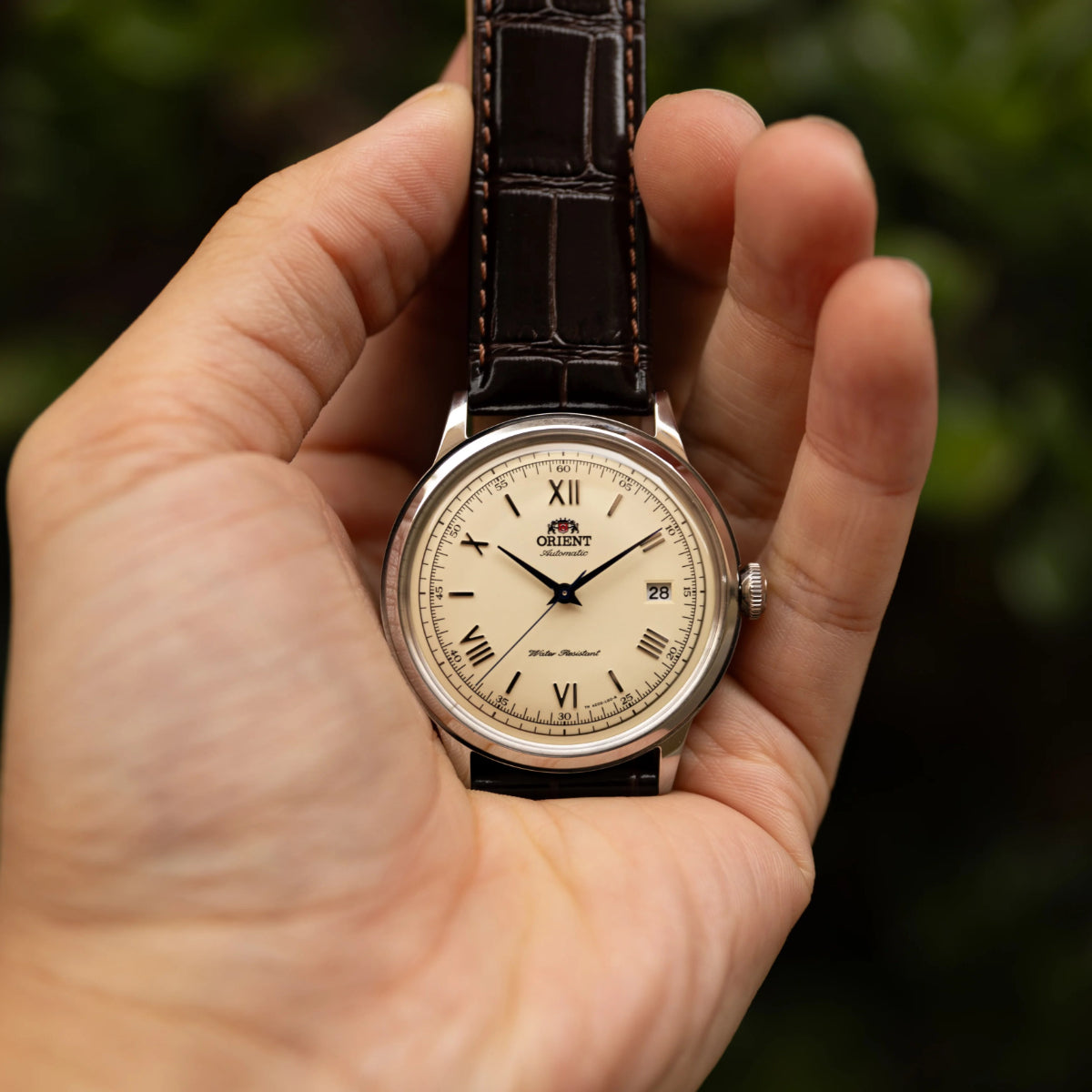 Orient Bambino TAC00009N0 automatic watch on open hand, dark leather strap, cream dial, date at 28