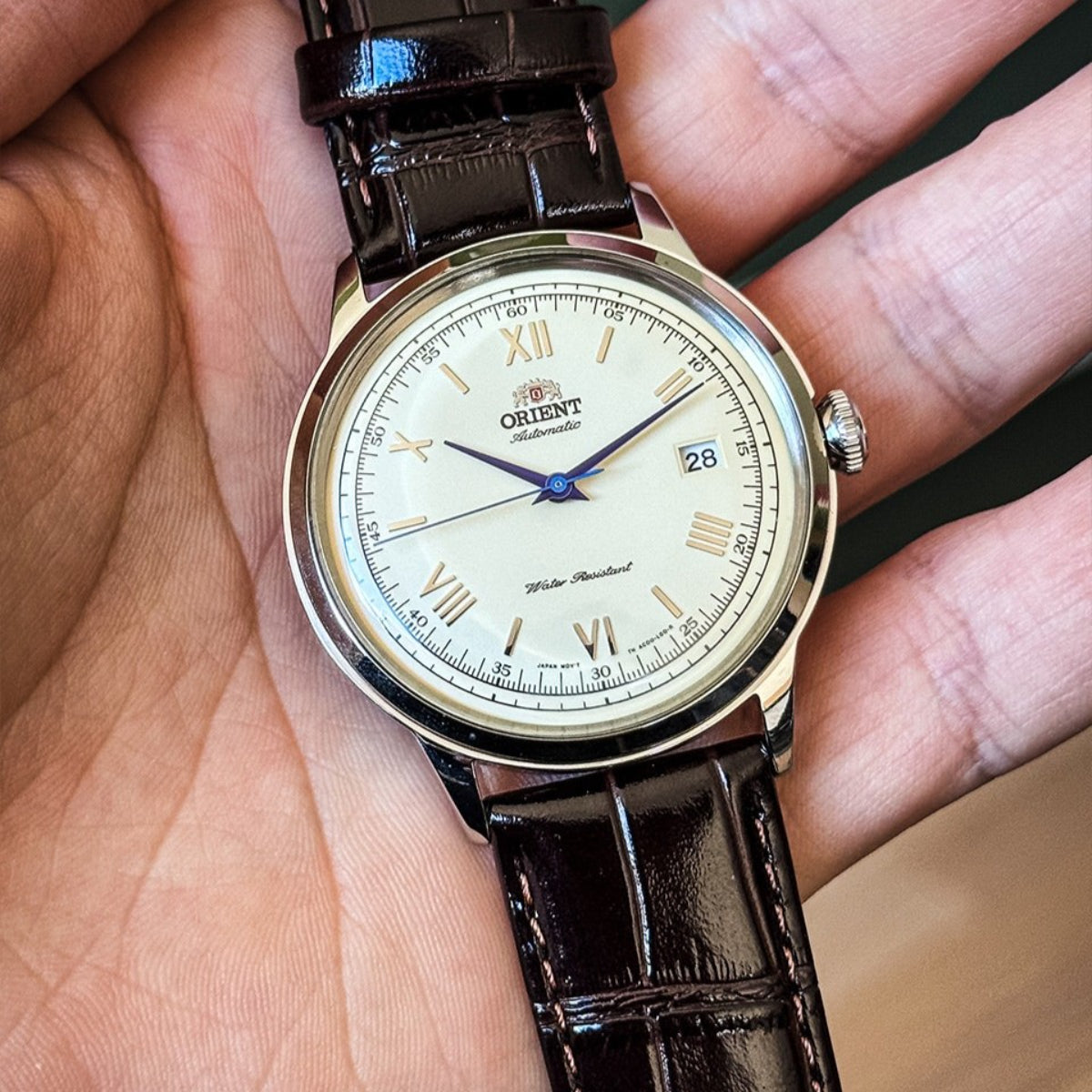 Orient Bambino TAC00009N0 mens automatic watch close-up, champagne dial, dark leather band, date window at 28