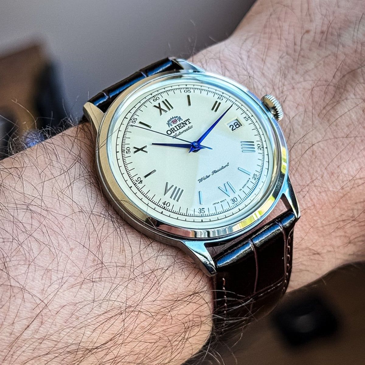 Orient Bambino mens automatic watch TAC00009N0 on wrist, champagne dial with blue hands, brown leather strap