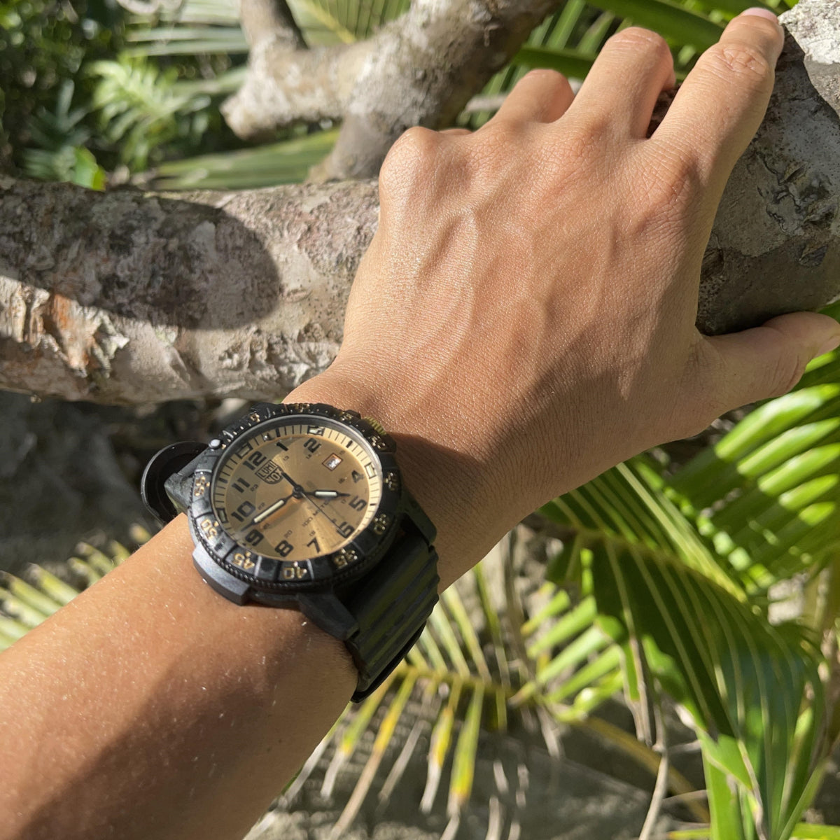 Luminox Leatherback Sea Turtle Giant Series XS.0325.GP lifestyle on wrist outdoor background