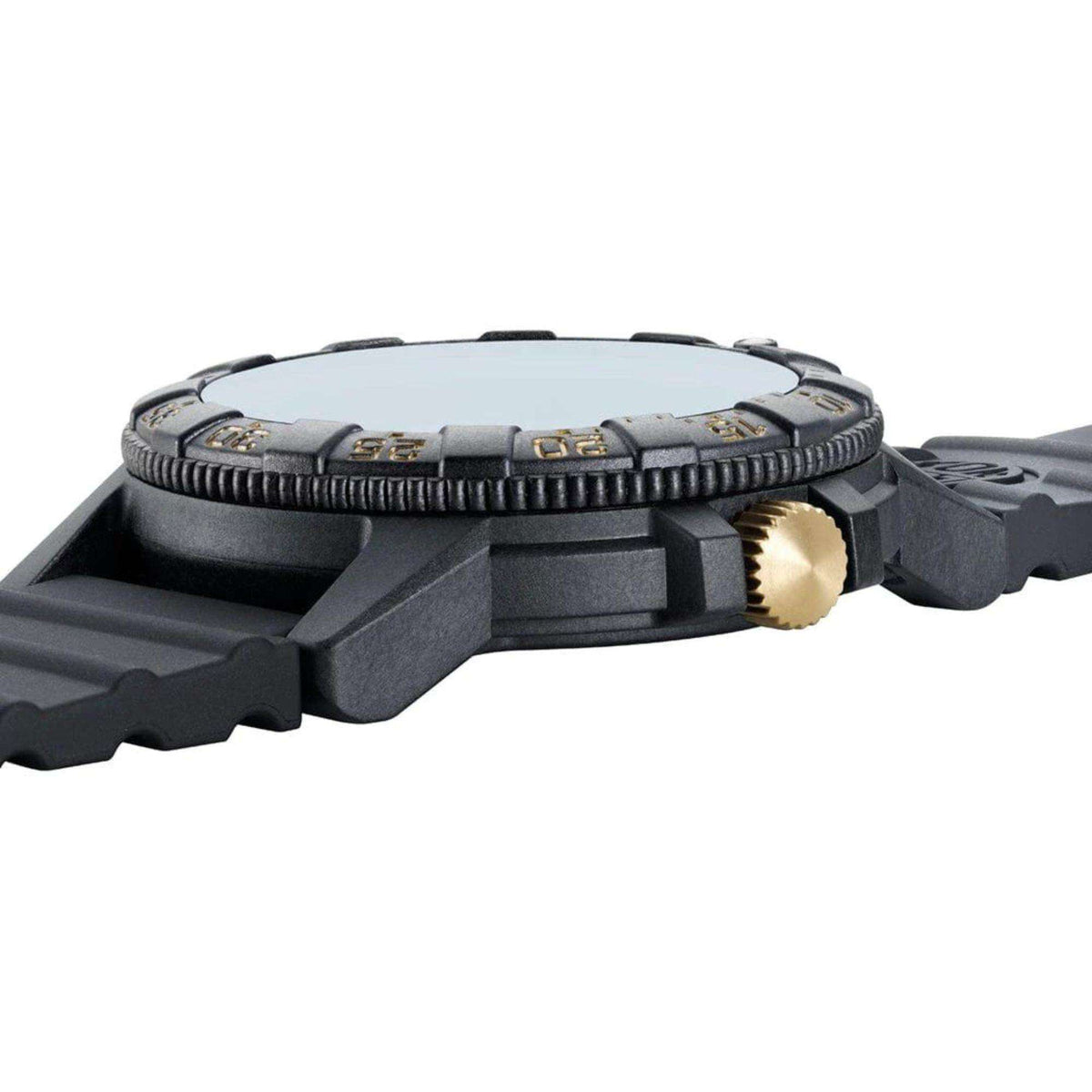 Luminox Leatherback Sea Turtle Giant Series XS.0325.GP low angle side profile view