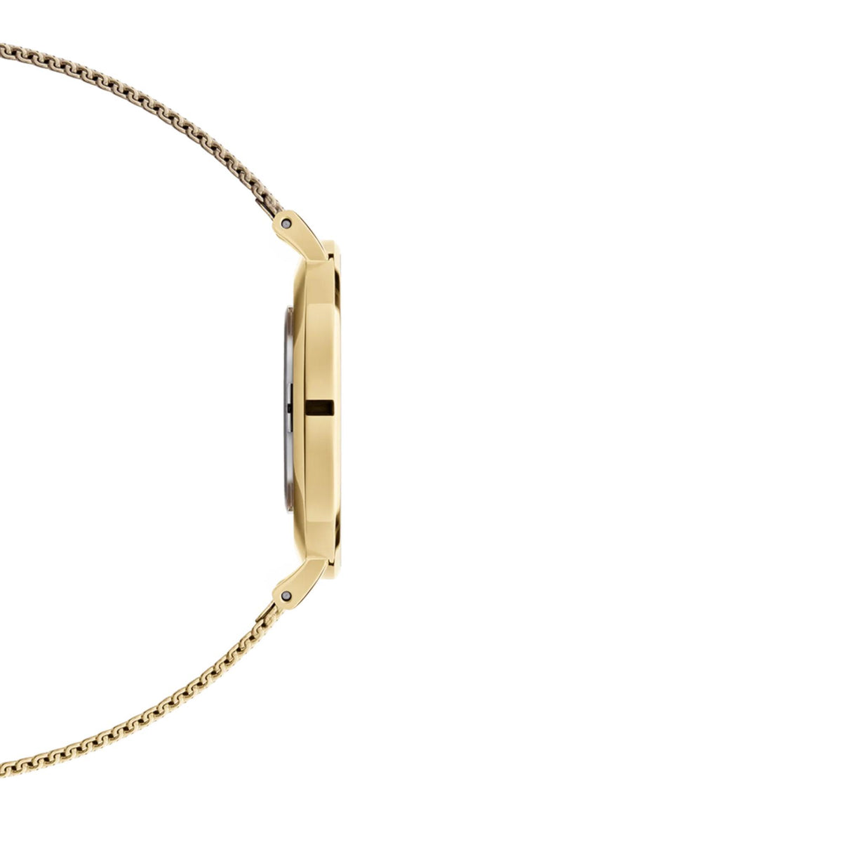 Gold-tone watch case side with mesh bracelet and crown