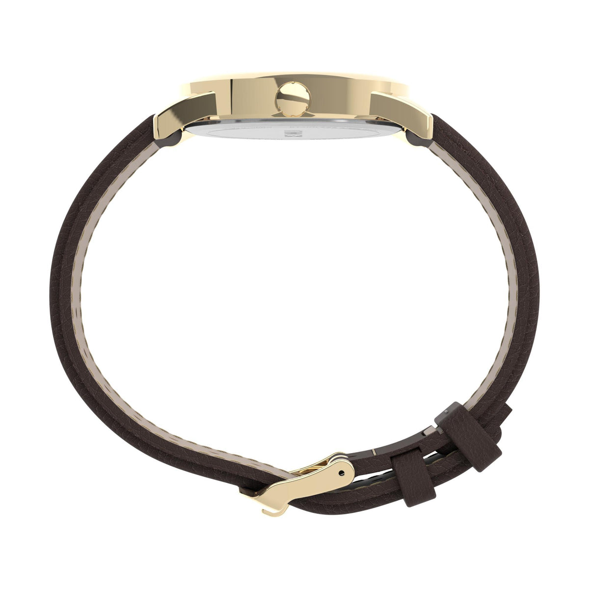 Timex Easy Reader 38mm watch with brown leather strap and gold-tone metal case