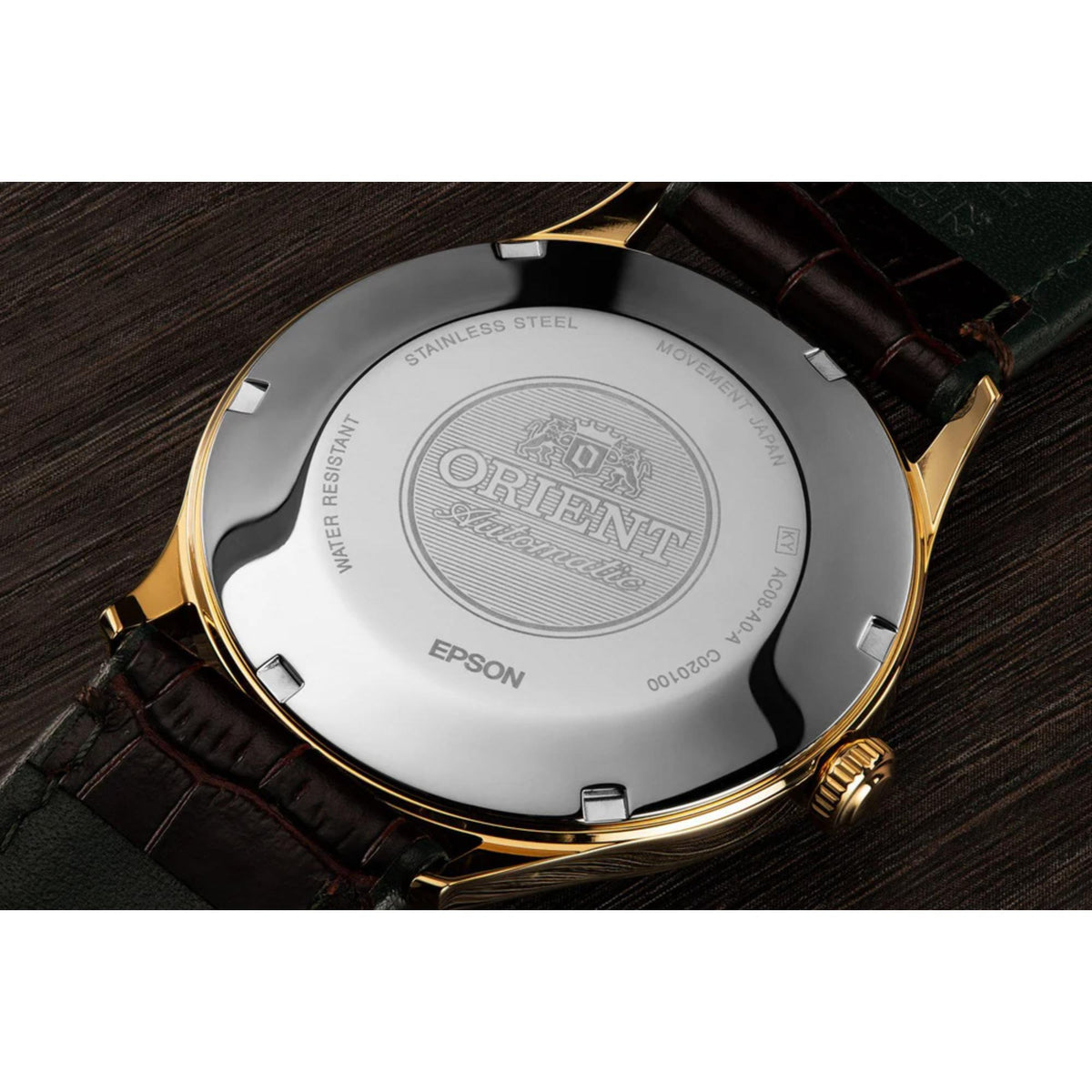 Orient Bambino stainless-steel case back with crest on dark leather strap
