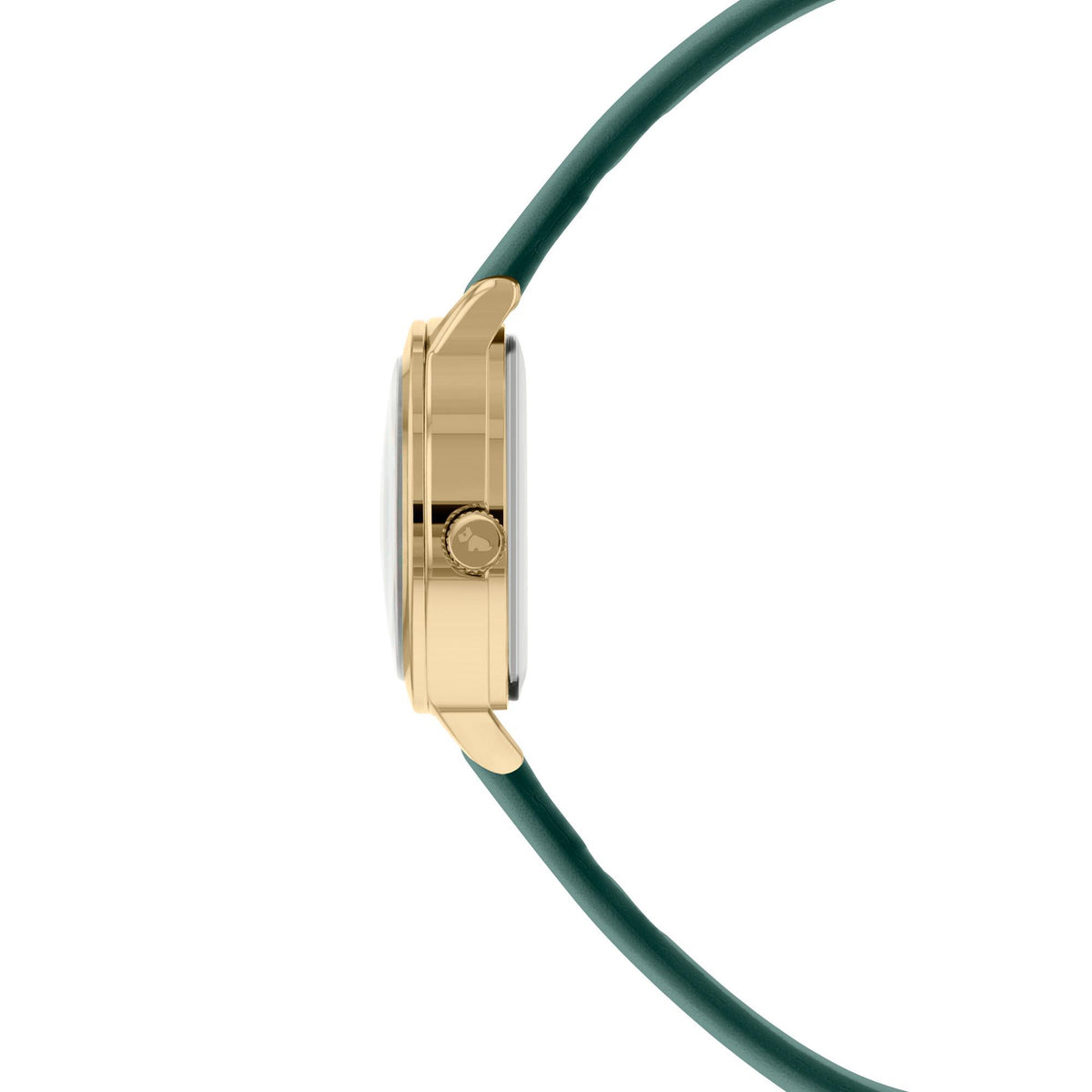 Quartz watch side profile with gold case and dark green leather strap