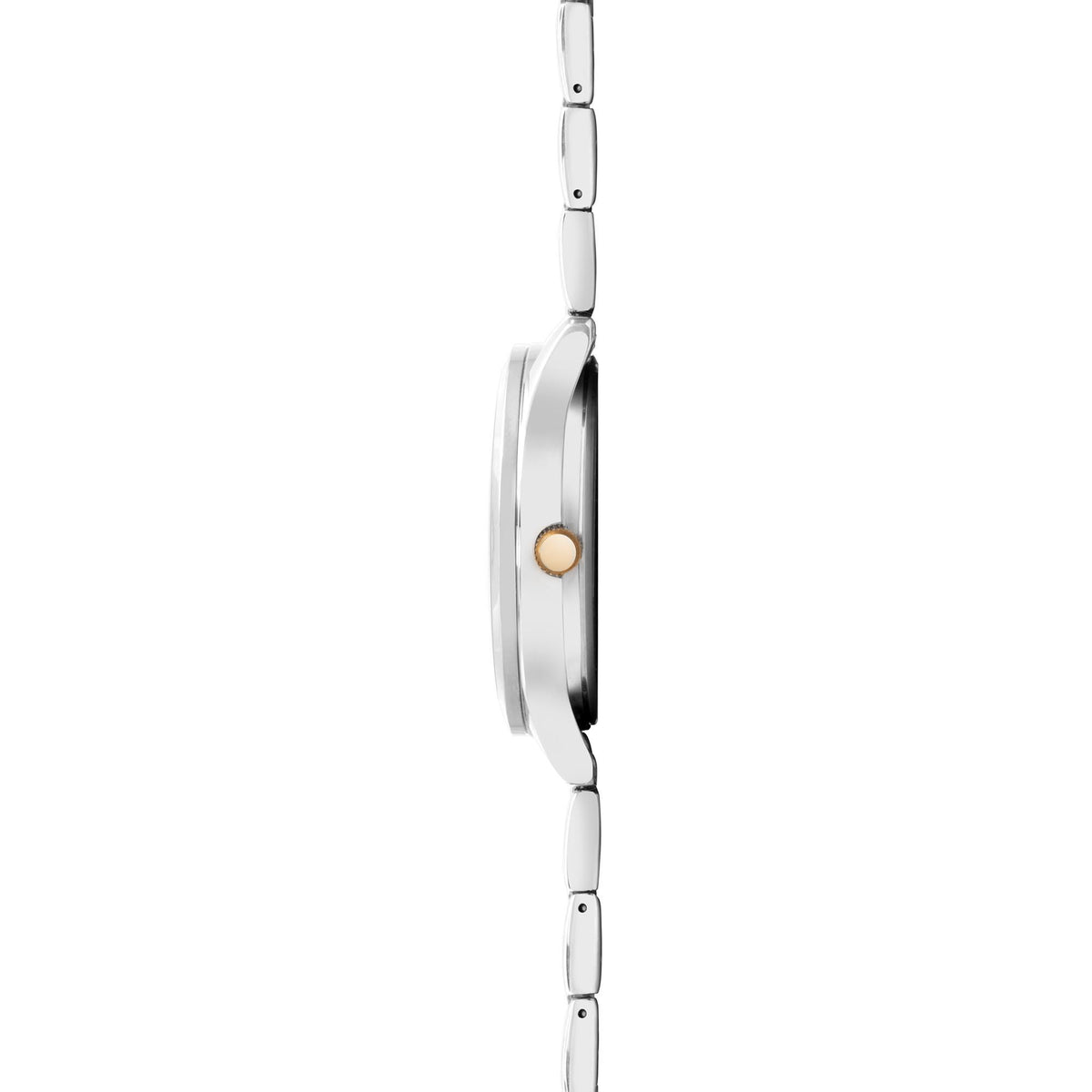 Back-profile view of stainless steel men’s watch case with two-tone bracelet links