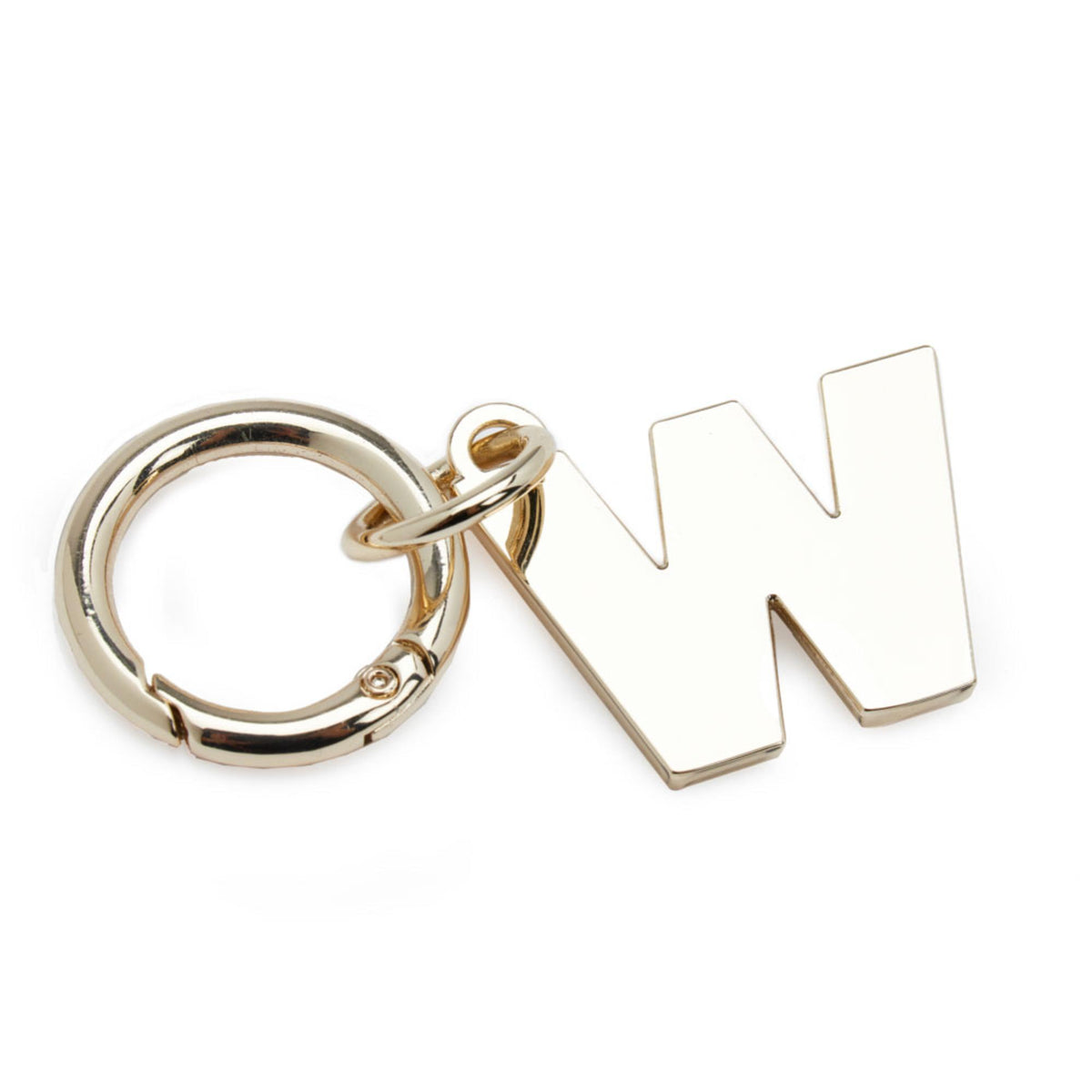 Metal keyring with gold W charm for earbud case