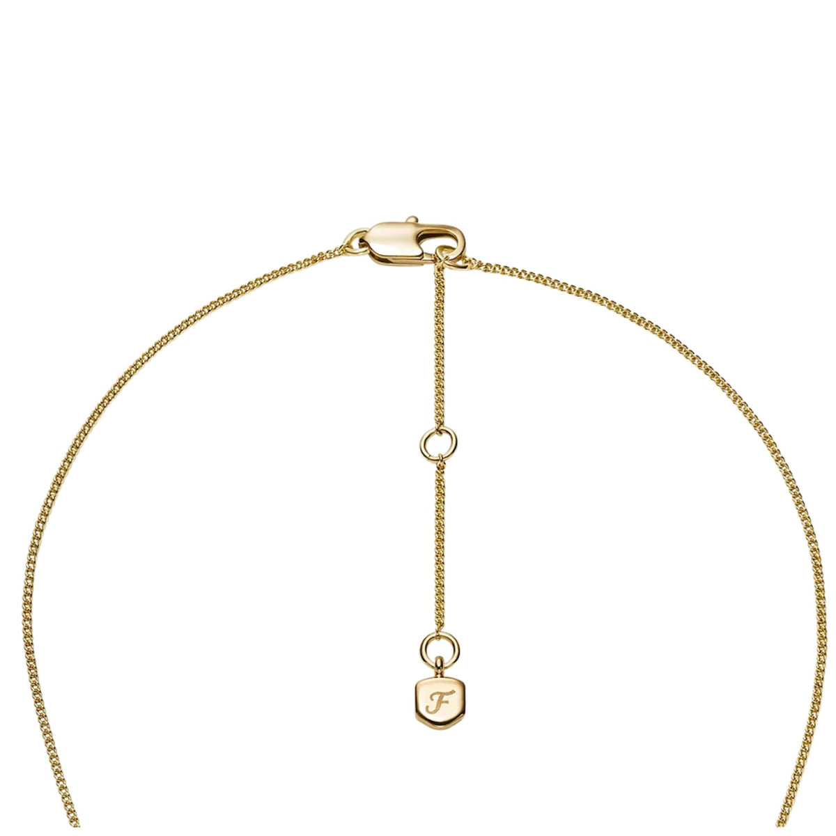 Gold-tone brass pendant necklace with dangling F charm on thin chain