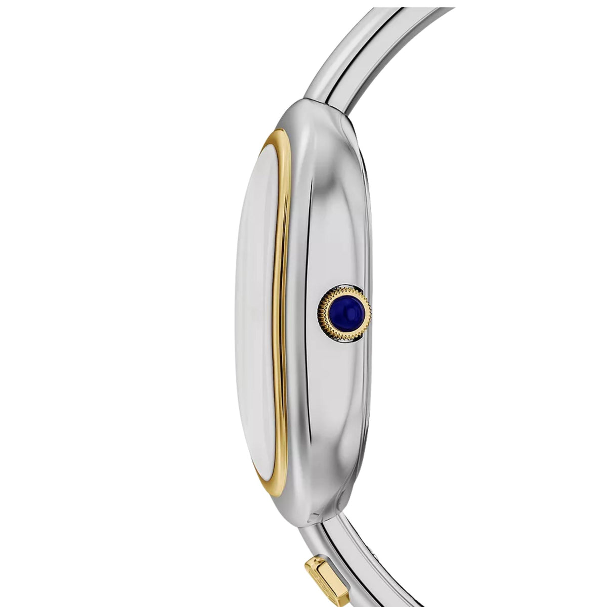Stainless steel watch side with gold trim and blue crown detail