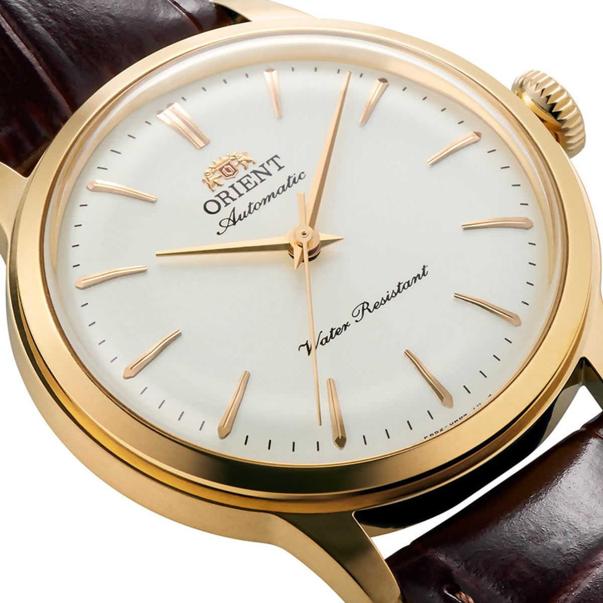 Crown and case detail on the Orient Bambino 36mm white dial watch RA-BB0101S30B showing its gold-tone case, matching hands, and slim applied hour markers