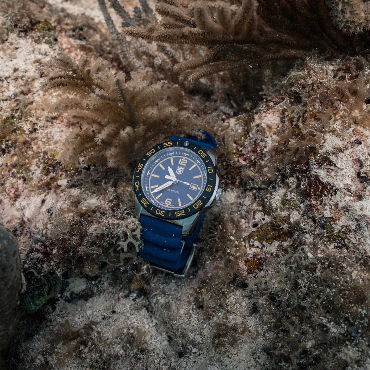 Luminox Pacific Diver FORCE BLUE 3120 Series XS.3125.FB watch resting on the ocean floor next to coral
