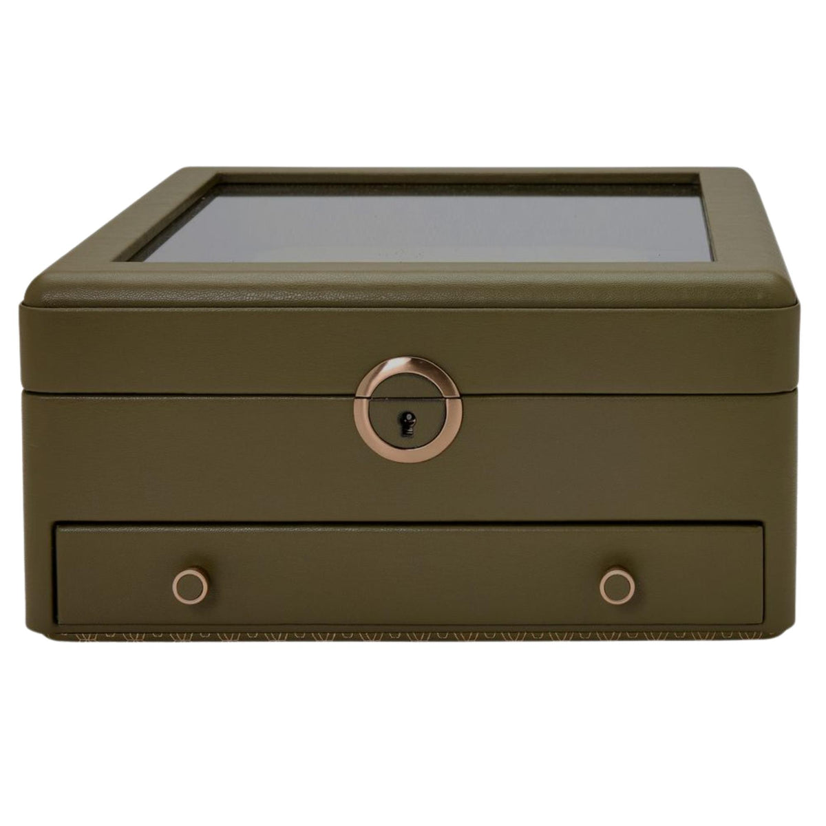 WOLF Earth 190th Anniversary Collection Single Olive Watch Stand Box 190741