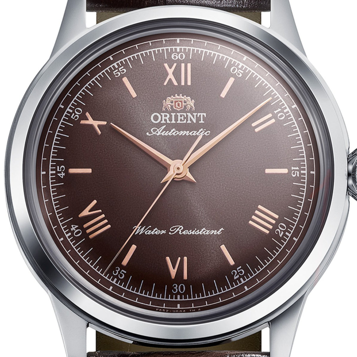 Orient Bambino RA-BB0004Y30B brown dial display close-up